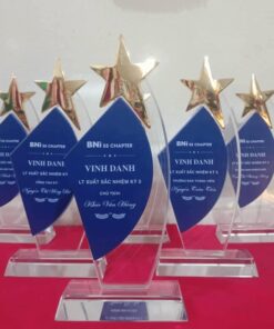 cup pha lê biểu trưng pha lê