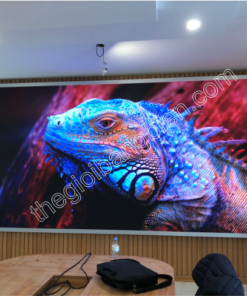 màn hình led phòng họp